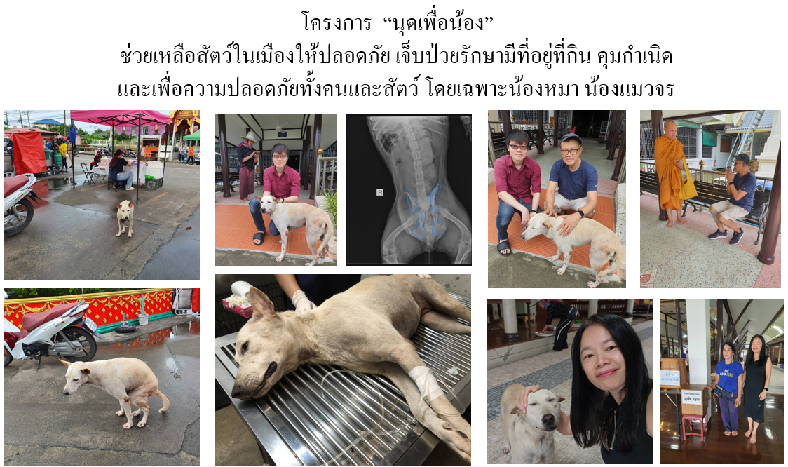 ช่วยสัตว์เลี้ยง