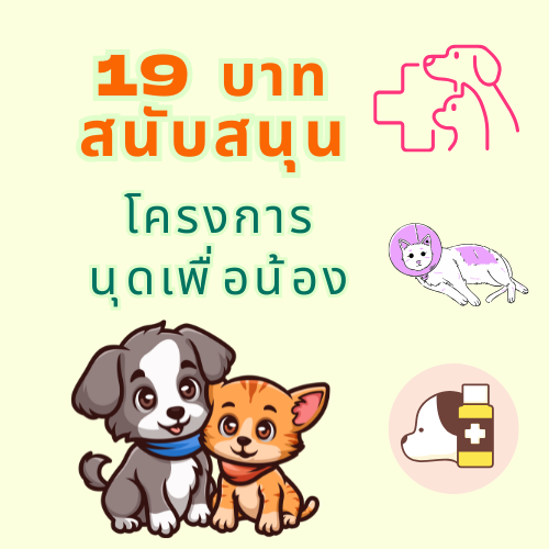 โครงการ นุดเพื่อน้อง